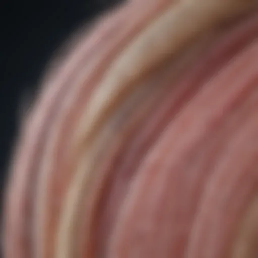Illustration showing the anatomy of hair follicles