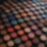 Vibrant palette of affordable eyeshadows showcasing diverse shades