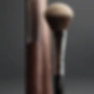 Artis vs Traditional Brushes Comparison A detailed comparison graphic illustrating the differences between Artis brushes and traditional makeup brushes.