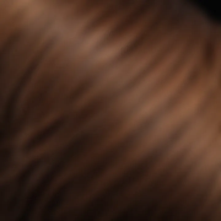 A close-up of hair showcasing texture and color