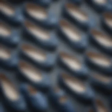 Detailed Design Elements of Blue Sole Ballet Flats Close-up of intricate design elements of blue sole ballet flats