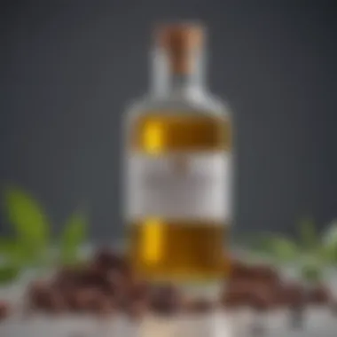 A close-up view of castor oil in a glass bottle surrounded by castor seeds