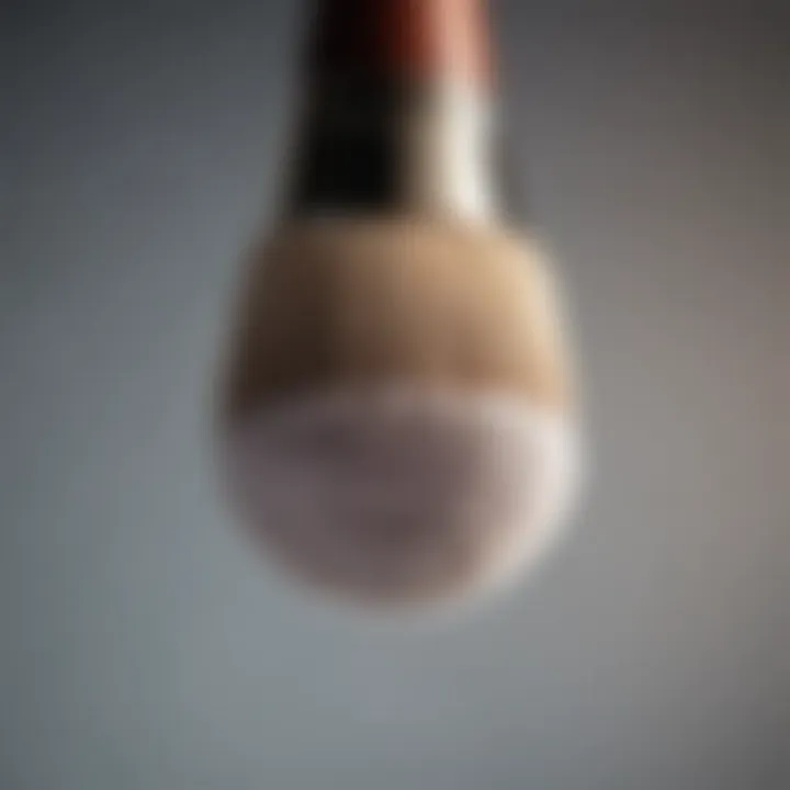 Close-up of a clean makeup brush resting on a pristine surface