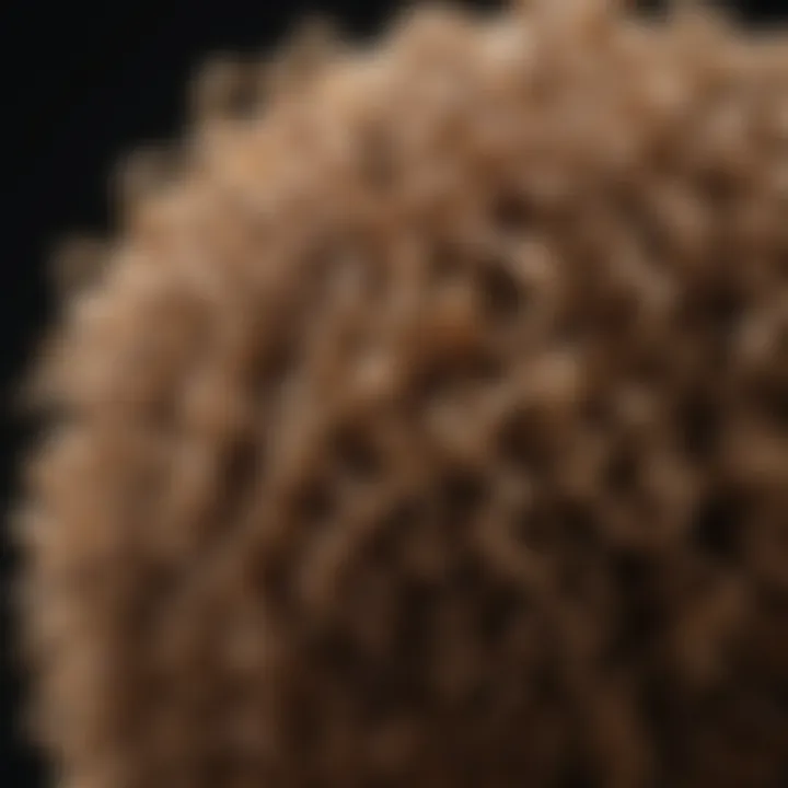 Close-up of nourishing ingredients in a conditioner