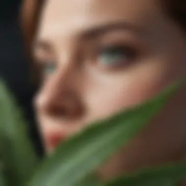 Close-up of natural ingredients like aloe vera and vitamin E