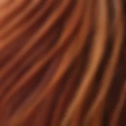 A close-up of vibrant hair strands showcasing their health