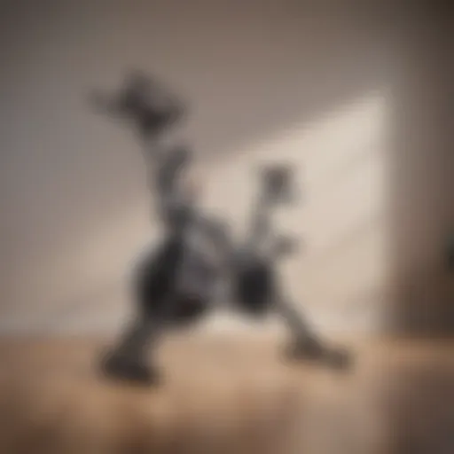 A minimalist exercise bike showcasing simplicity and functionality