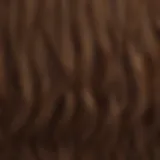 A gradient scale showcasing various shades of brown hair