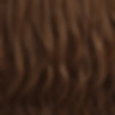 A gradient scale showcasing various shades of brown hair