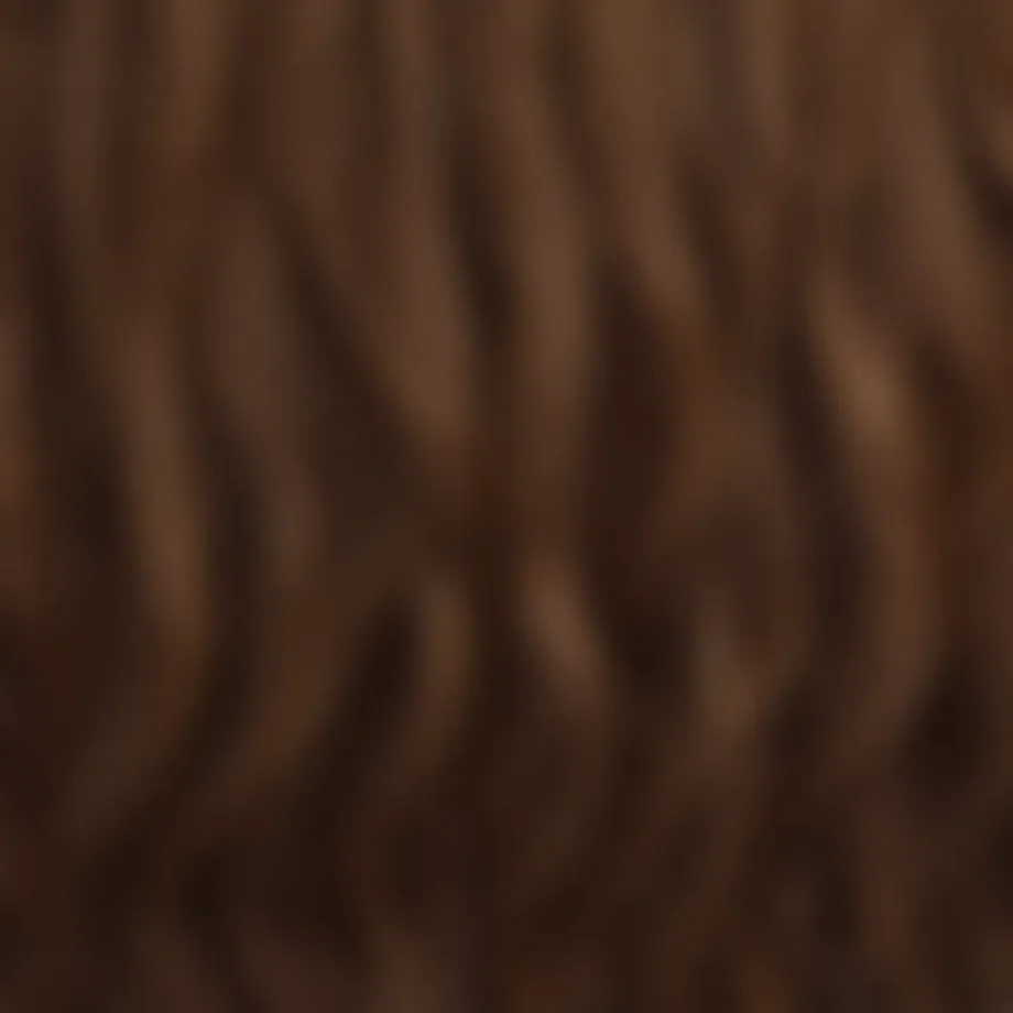 A gradient scale showcasing various shades of brown hair