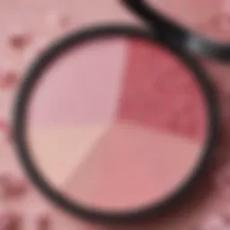 Swatch of Coloured Raine Cherry Blossom on a makeup palette