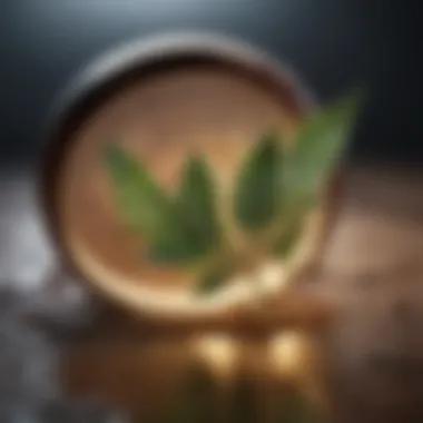 Natural Ingredients for Itching Relief Natural ingredients used in itching relief creams