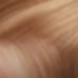 Close-up of L'Oreal Hair Toner Gloss texture