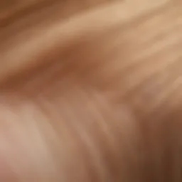 Close-up of L'Oreal Hair Toner Gloss texture