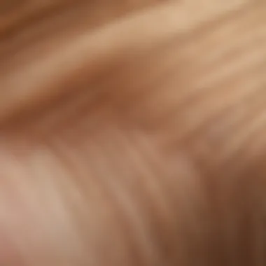Close-up of L'Oreal Hair Toner Gloss texture