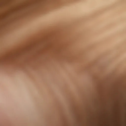 Close-up of L'Oreal Hair Toner Gloss texture