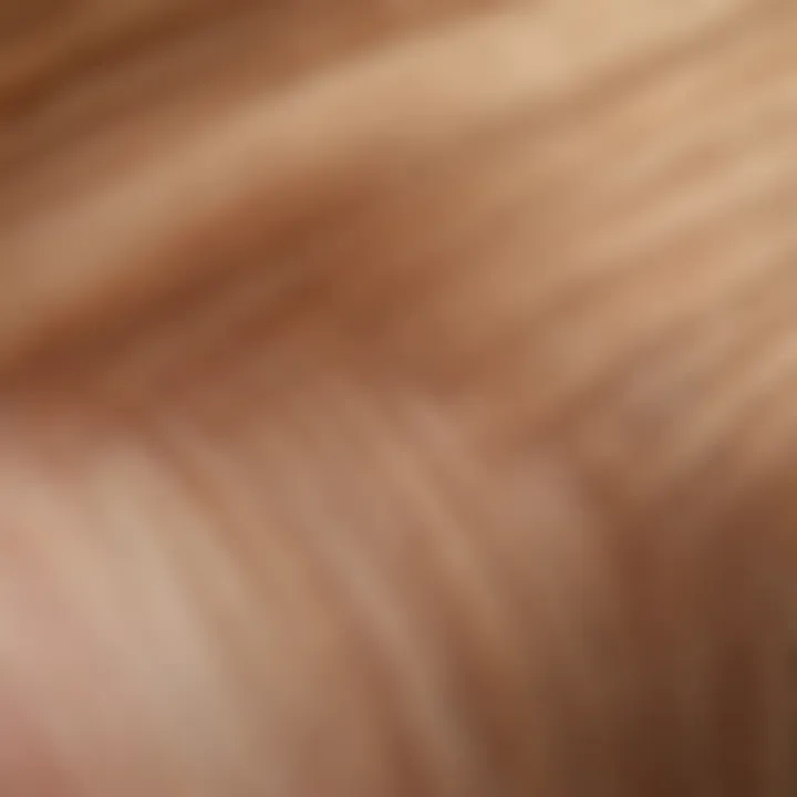Close-up of L'Oreal Hair Toner Gloss texture
