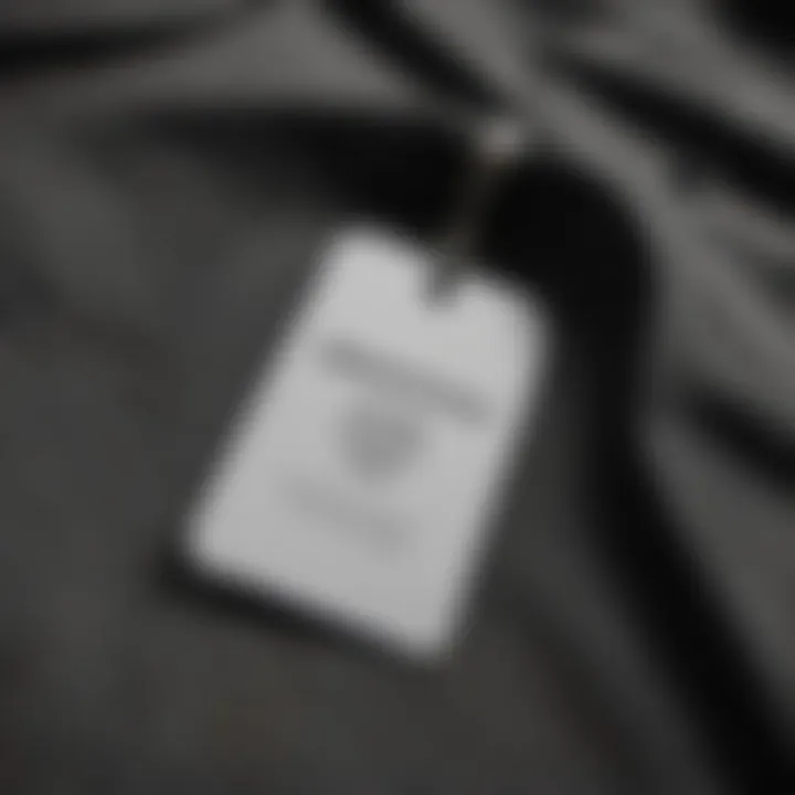 Close-up of Balenciaga clothing tag highlighting pricing strategies