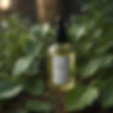 A serene bottle of facial oil surrounded by lush green leaves, symbolizing natural skincare.