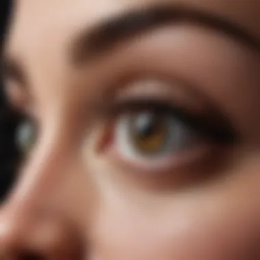 Lash Maintenance Essentials Guide to lash maintenance with essential tools and products