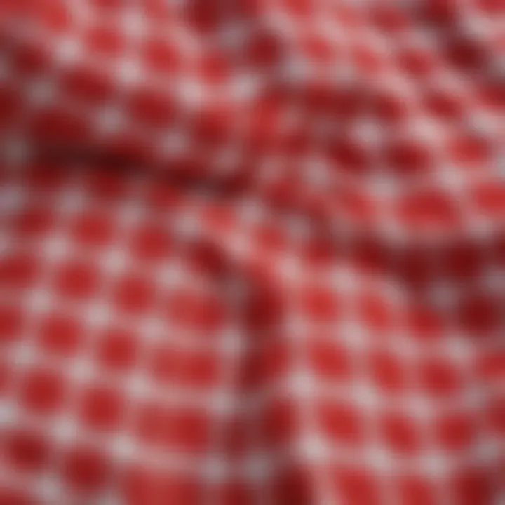 Close-up of the fabric texture of the red gingham pattern