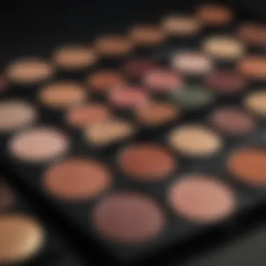Close-up of a makeup palette showcasing diverse colors