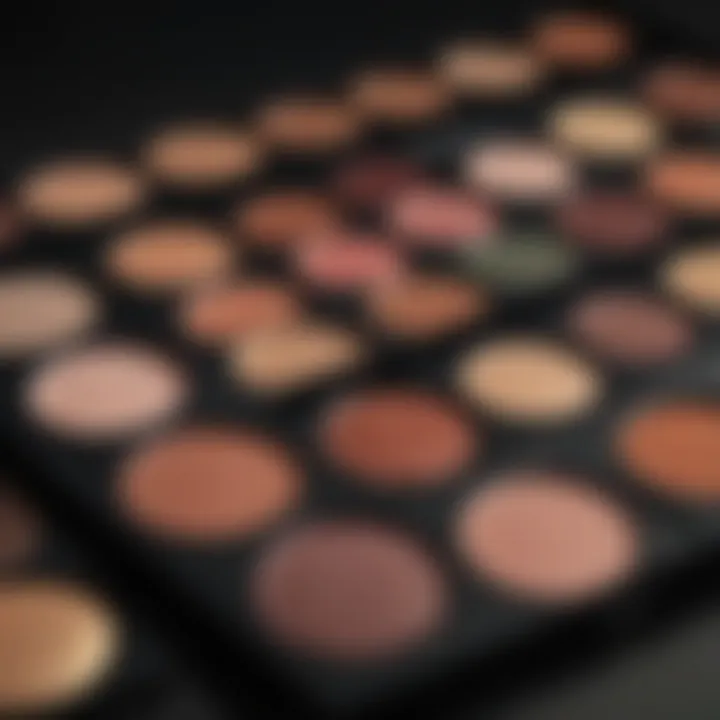 Close-up of a makeup palette showcasing diverse colors