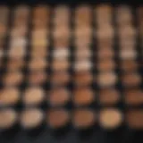 Color palette showcasing various foundation shades for diverse skin tones