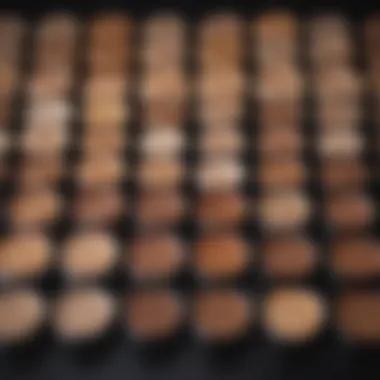 Color palette showcasing various foundation shades for diverse skin tones