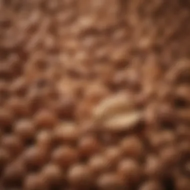 Nuts and Seeds: A Powerhouse for Hair Growth A close-up of nutrient-dense nuts and seeds
