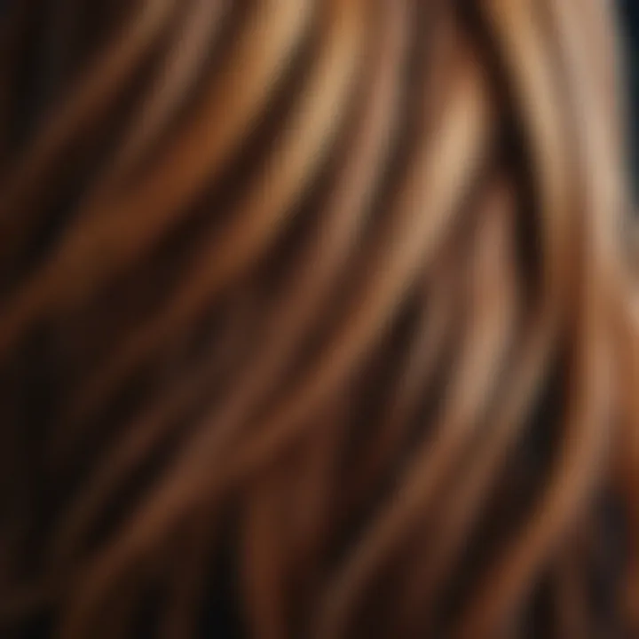 A close-up of hair strands in different shades reflecting light