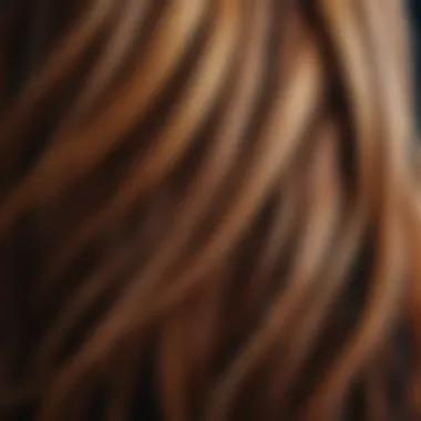 The Beauty of Color Shades A close-up of hair strands in different shades reflecting light