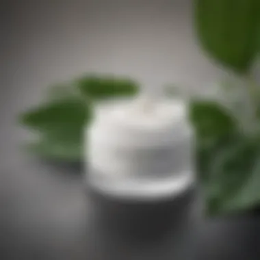 Nourishing Anti-Aging Moisturizer A close-up of an anti-aging moisturizer jar with a fresh green leaf