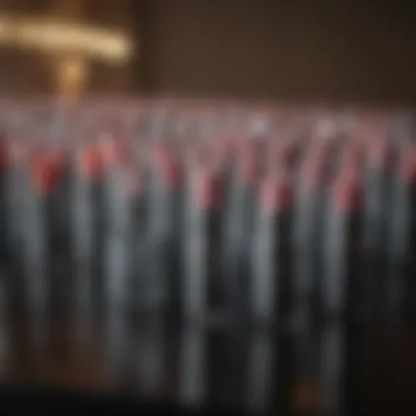Luxurious Chapstick Collection Luxurious chapstick collection displayed elegantly