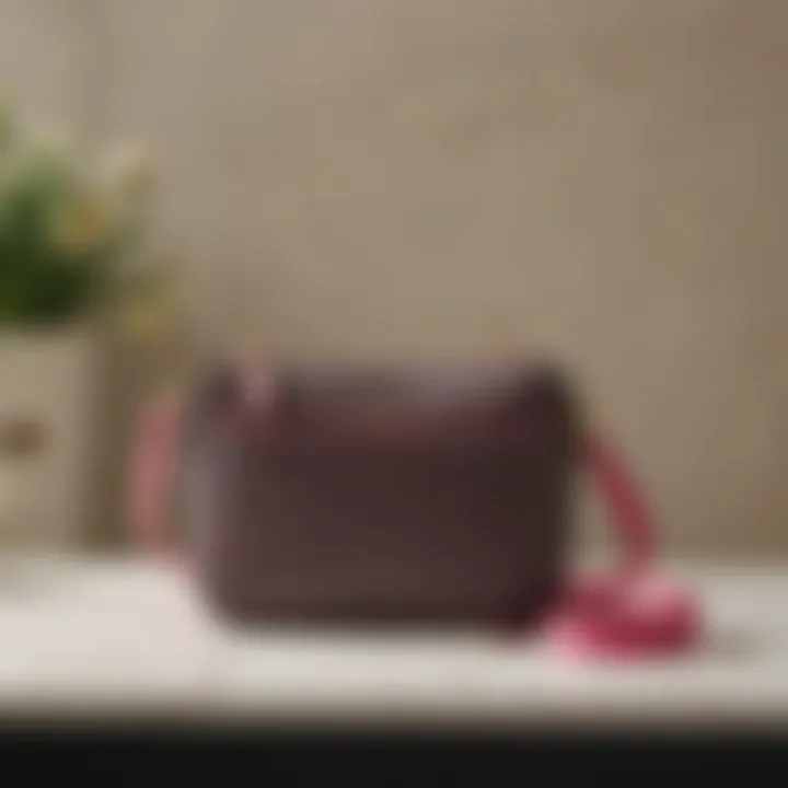 An elegant display of the Kate Spade crossbody strap alongside care instructions.