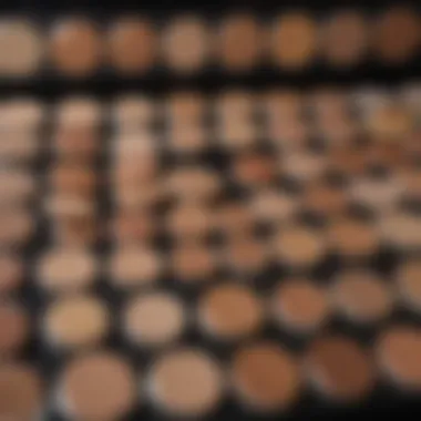 Palette of diverse foundation shades for various skin tones